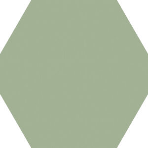 Codicer Basic Olive Hex